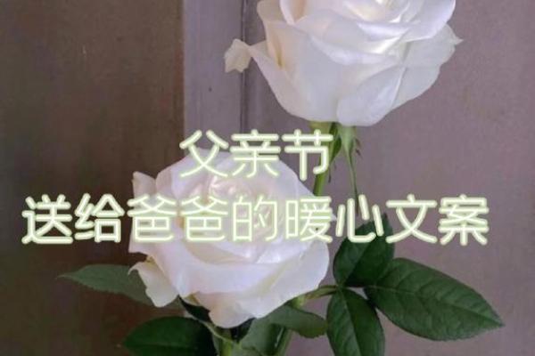 父亲节的独特风俗：庆祝这个温馨的节日，你了解多少？