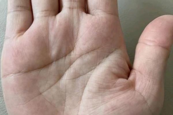 一掌在手，智慧无穷：揭秘读书聪明人的神秘手相