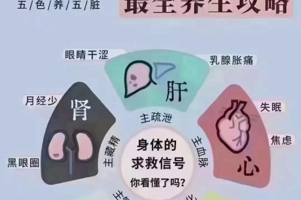 阴阳平衡，事业腾飞