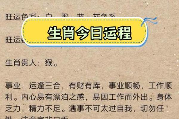 属相命理全面解析，助你掌握人生走向