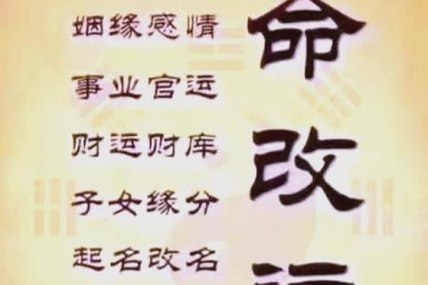 属相命理全面解析，助你掌握人生走向
