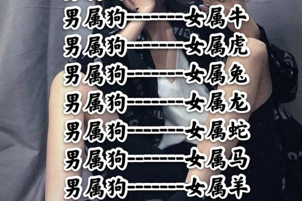 属牛男VS属狗女：揭秘最佳伴侣组合