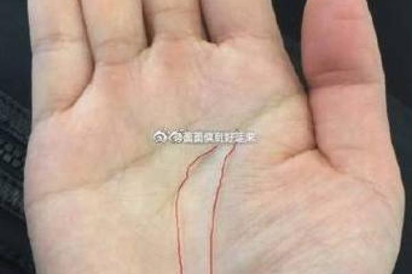 手相揭秘：双眼皮纹揭示你的命运与财运