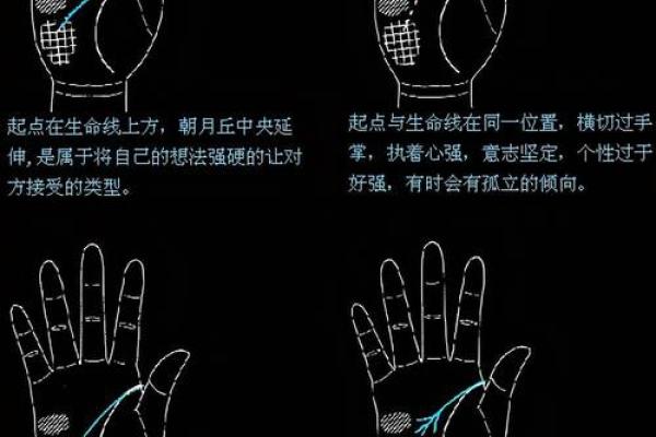 命理刀掌中线：探索掌纹与命运之间的神秘联系