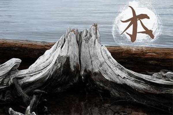 如何根据命里缺木为公司命名