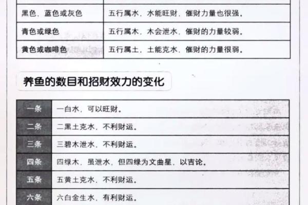 八字命理在道教修炼中的独特应用
