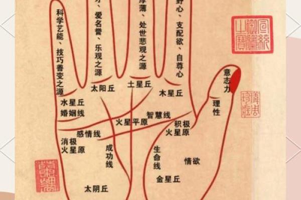 揭秘手相奥秘：手相图解大全，让你一眼看穿感情运势