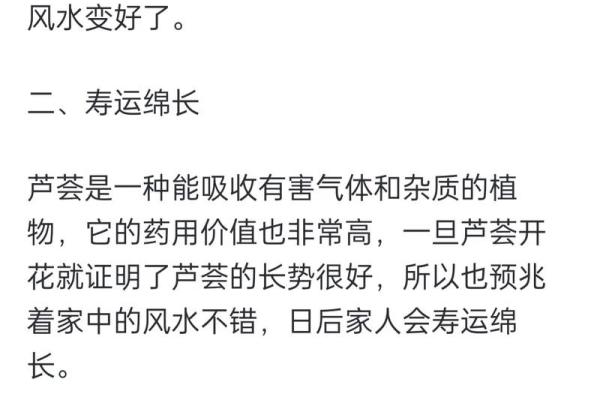 打造独特品牌！芦荟公司起名创意全解析