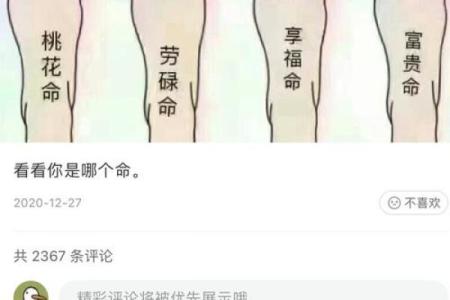 命理四脚马：如何揭示你人生的命运密码