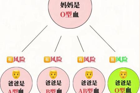 精准血型配对，健康生活新选择