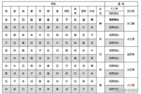 紫微排盘在哪做最准？揭秘顶级专家推荐的排盘地点