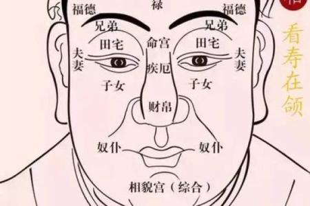 面相与命理：你从容不迫的成功密码