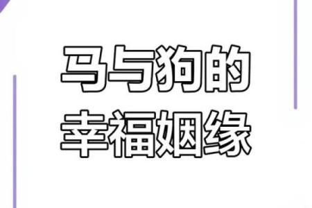 马年姻缘：男女属马婚姻相配，幸福指数飙升