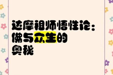 前世排盘与达摩一掌经的奇妙联系：揭开命运的面纱
