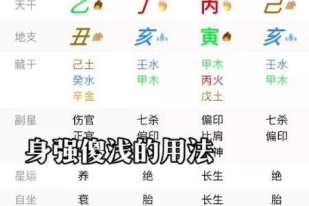 四柱测命理必学：如何从八字看透未来的机会与挑战