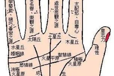 卜居易八字排盘网揭秘：一生运势全掌握
