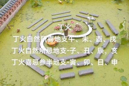 十天干中的丁火：它如何影响你的命理？