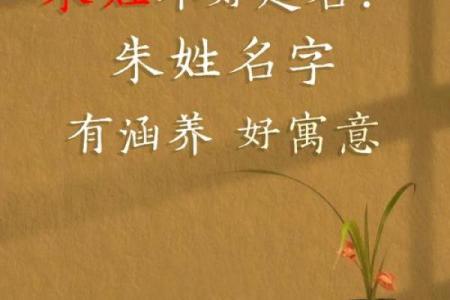 朱姓取名攻略：如何为宝宝选择一个完美名字