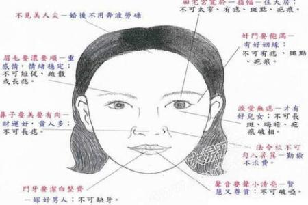揭秘：从头发看面相，揭秘你的运势与性格