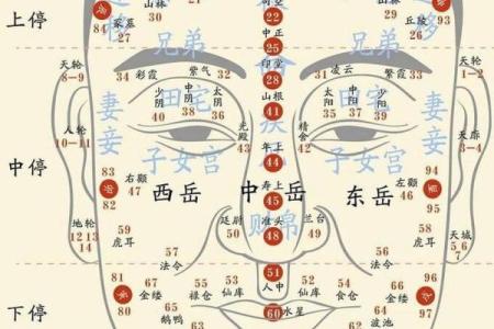 抬头纹的秘密：揭秘面相中的智慧与命运密码