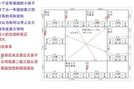 如何利用东来紫微斗数排盘系统洞察人生运势与发展方向