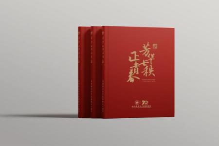 厚实根基，让品牌立足市场
