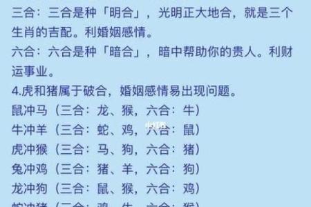 92年属猴最佳配对，揭秘幸福姻缘秘诀