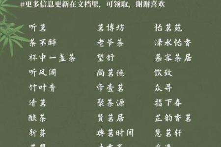 最流行的公司起名技巧与案例分析