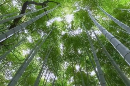命冲：揭秘人生转折点的神秘力量