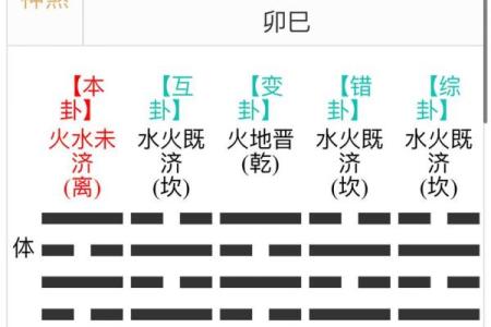 掌握六爻排盘梅花易数，解锁精准预测技巧