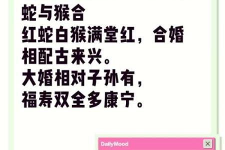 蛇马配对：揭秘生肖搭配的绝妙佳话
