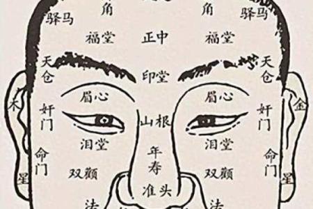 揭秘长圆脸面相的财运与运势：你的命运密码在这里