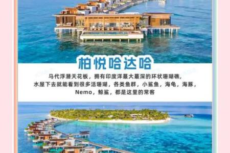 给岛屿命名：如何让它成为你心中的天堂