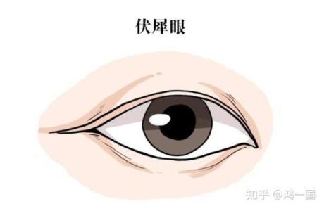 内双面相揭秘：揭秘男生的隐藏魅力