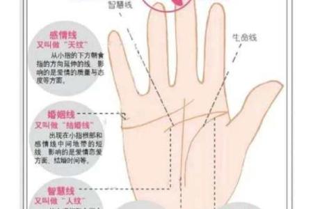 手相揭秘：揭秘命运密码，解锁人生运势