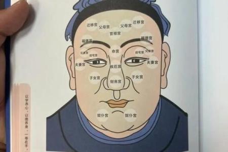 牛顿面相术：揭秘五官间的神秘力量
