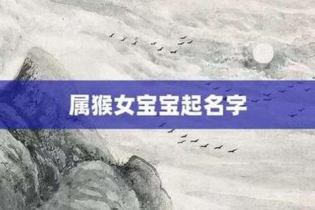 精选男孩属猴名字，最有寓意的起名指南