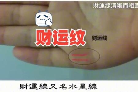 手相揭秘：男性财运密码，一眼看穿你的财富运势