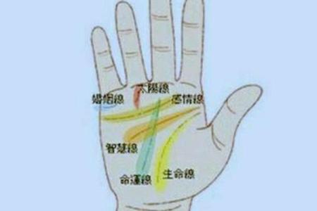 手纹线多揭秘：命运线、事业线、健康线，揭秘你的命运密码