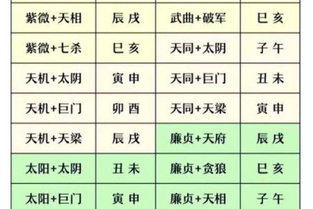 紫薇排盘各宫解析：解锁命运密码，揭示人生走向