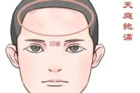 长臂毛揭秘：面相中的独特魅力与运势解析