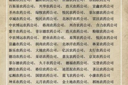 商贸有限公司起名指南，轻松打造行业领先品牌