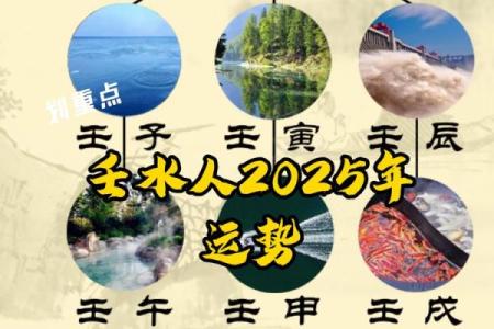 女乙丑年命运走向：如何提升事业与感情运势