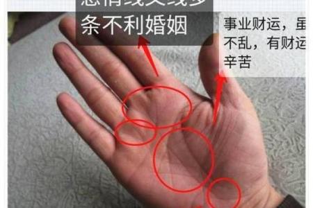 手相秘籍：一把握住命运的玄机，揭秘你的命运人生