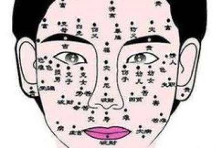 面相揭秘：揭秘你的命运密码，一眼识破人生运势