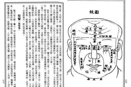 识人于面，面相揭秘：揭秘你的命运密码