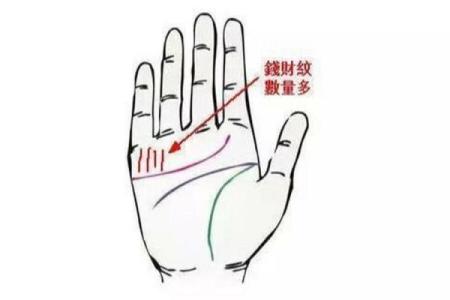 三叉命理揭秘：男人手相中的事业财运密码