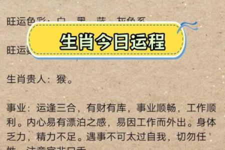 属相命理全面解析，助你掌握人生走向
