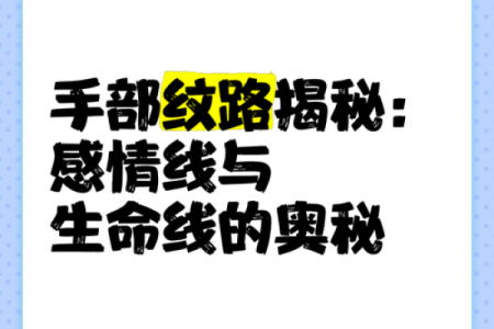 手相奥秘大揭秘：一招识人，揭秘你的命运密码
