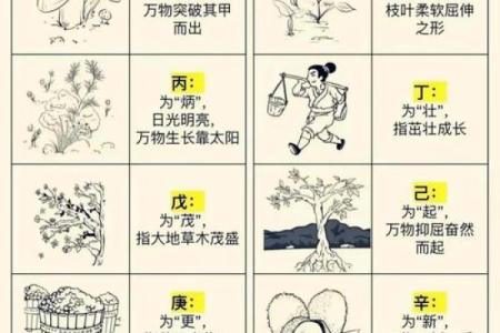 揭秘奇门遁甲中的节日奥秘：传统名俗背后的神奇力量